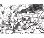第36代　岡本　繁樹